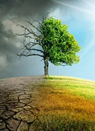 appel gratuit