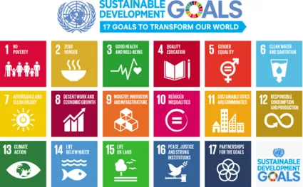 17 sustainable development goals