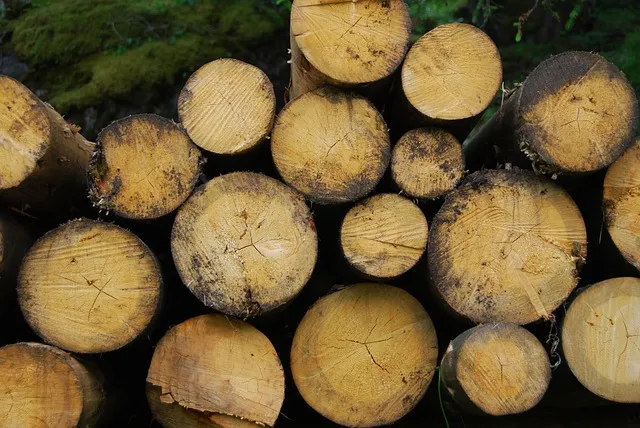Biomass