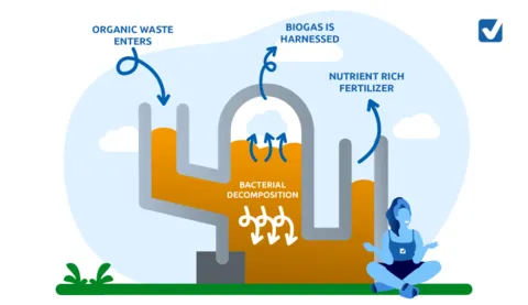 Anerobic Digestion Process of biogas generator Infographic